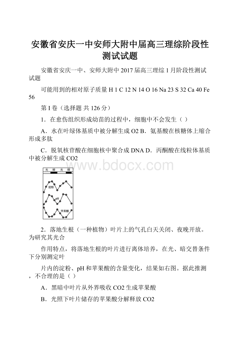 安徽省安庆一中安师大附中届高三理综阶段性测试试题.docx