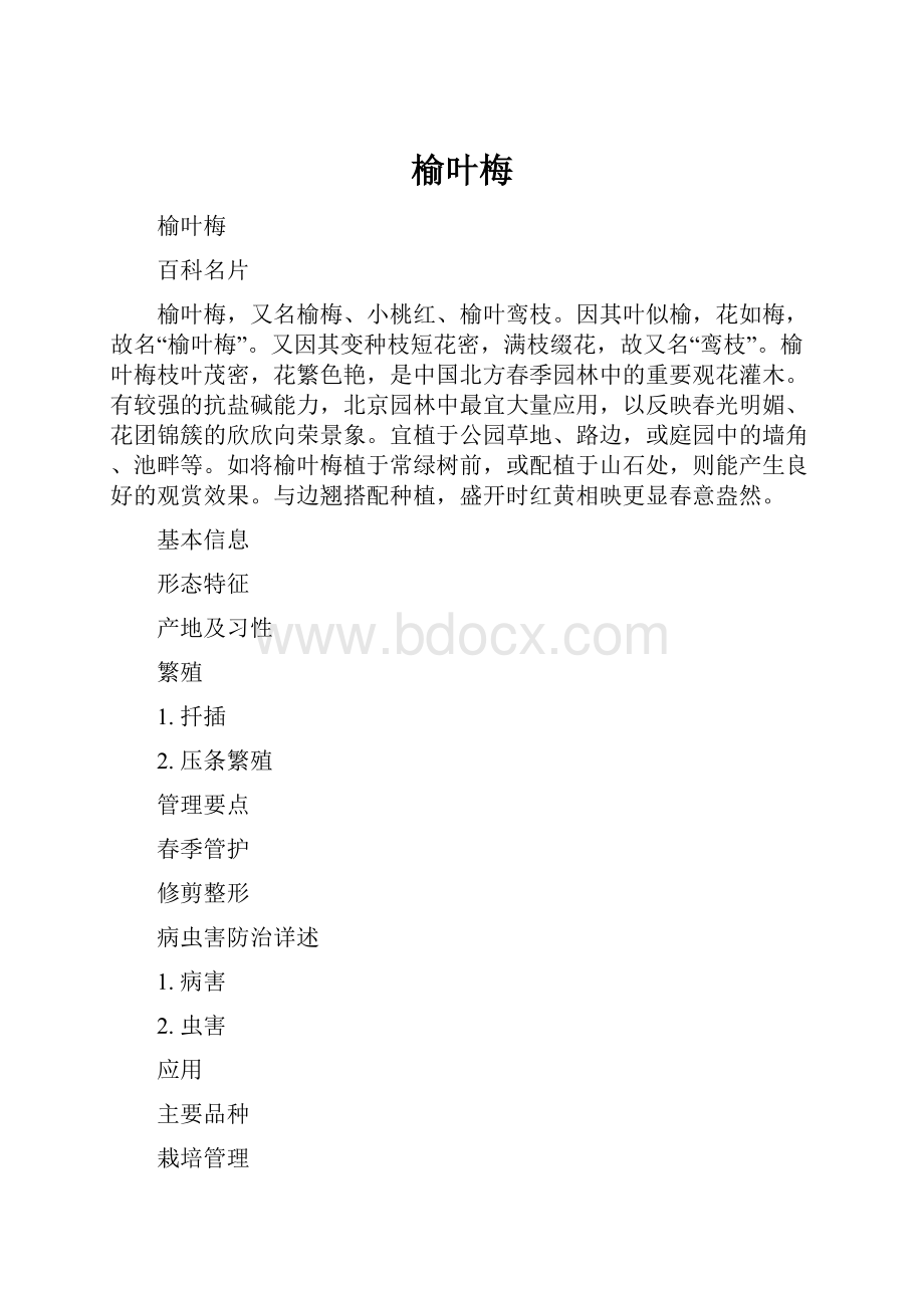 榆叶梅.docx_第1页