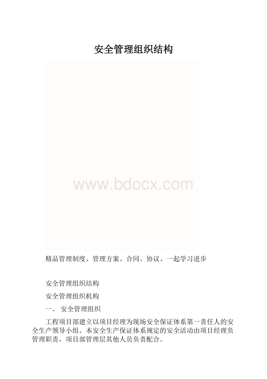 安全管理组织结构.docx_第1页