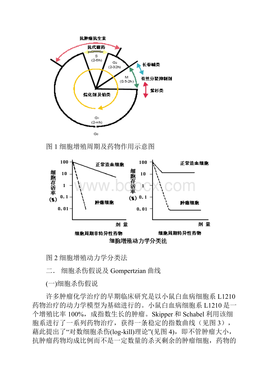 肿瘤化疗总论.docx_第3页