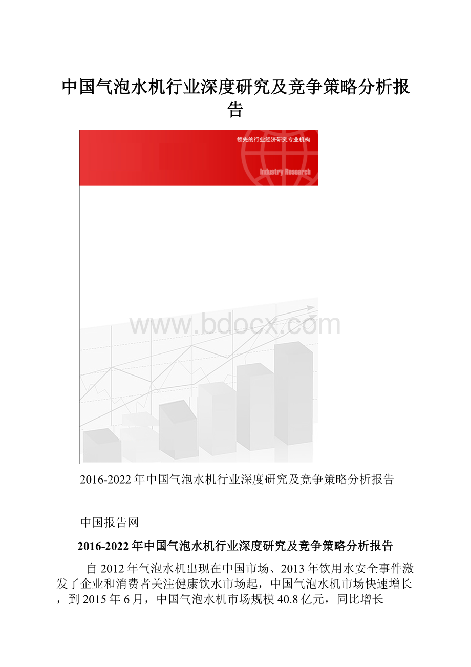 中国气泡水机行业深度研究及竞争策略分析报告.docx