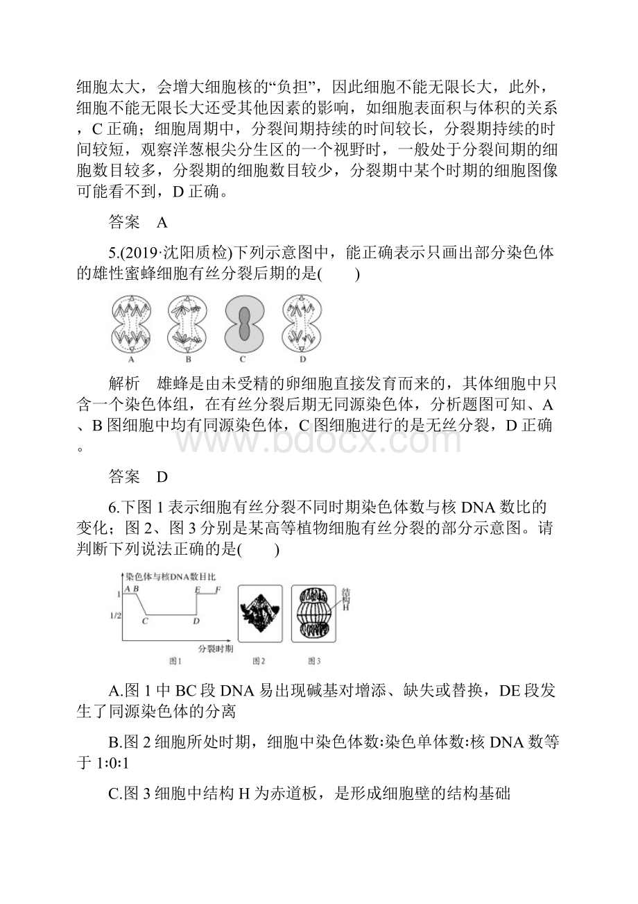 高考 一轮复习人教版 细胞的增殖作业doc.docx_第3页