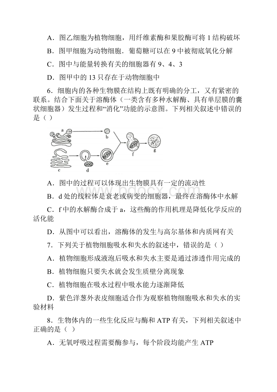 学年河南省名校联盟高一下学期期末考试生物试题.docx_第3页