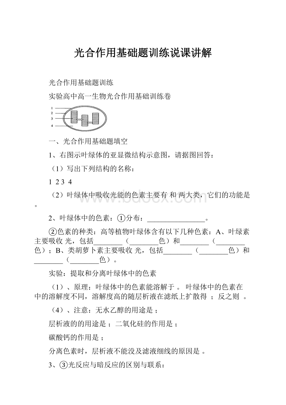 光合作用基础题训练说课讲解.docx_第1页