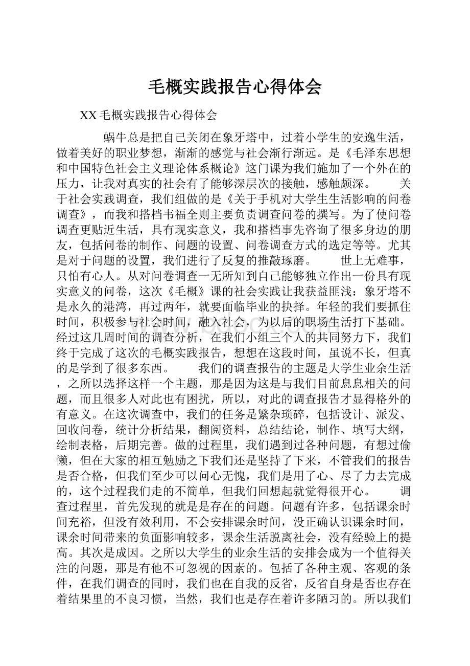 毛概实践报告心得体会.docx