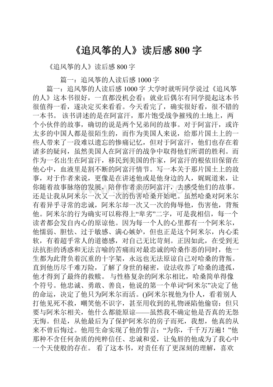 《追风筝的人》读后感800字.docx