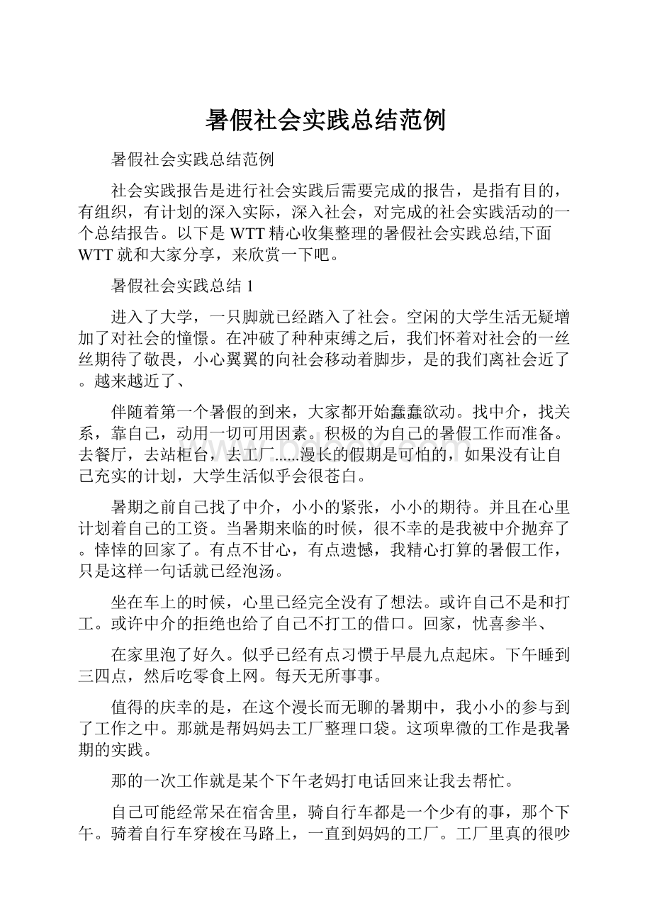 暑假社会实践总结范例.docx