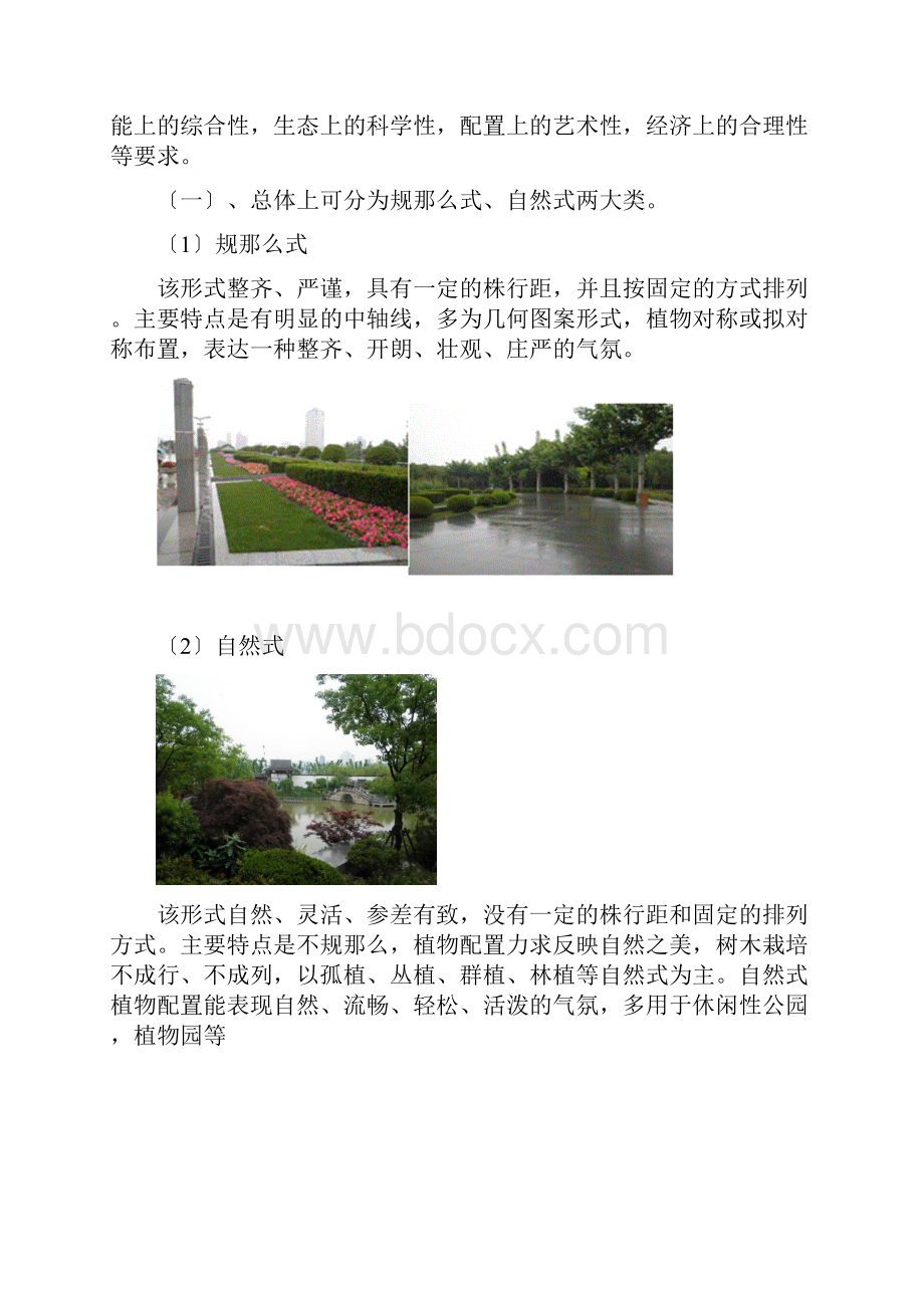 园林植物造景实习报告.docx_第2页