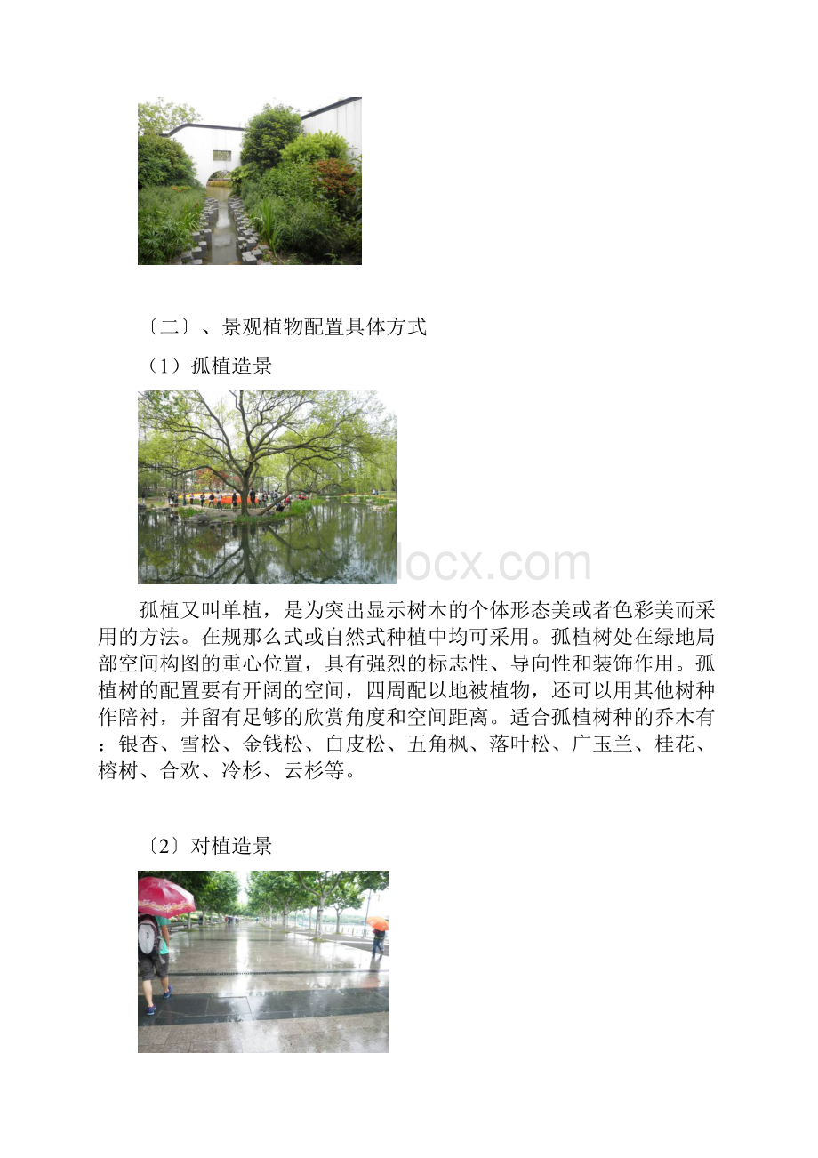 园林植物造景实习报告.docx_第3页