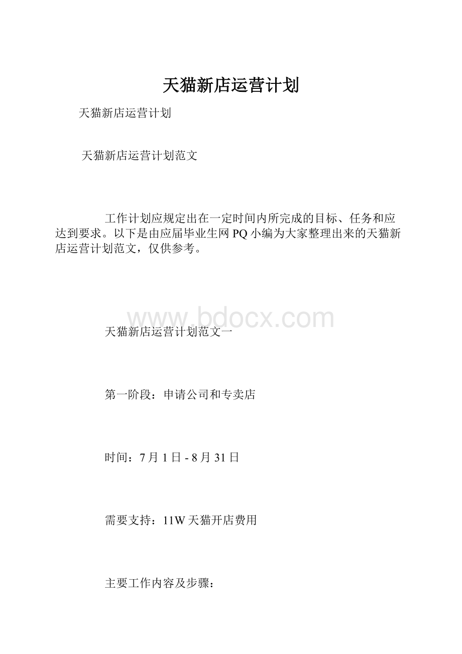 天猫新店运营计划.docx