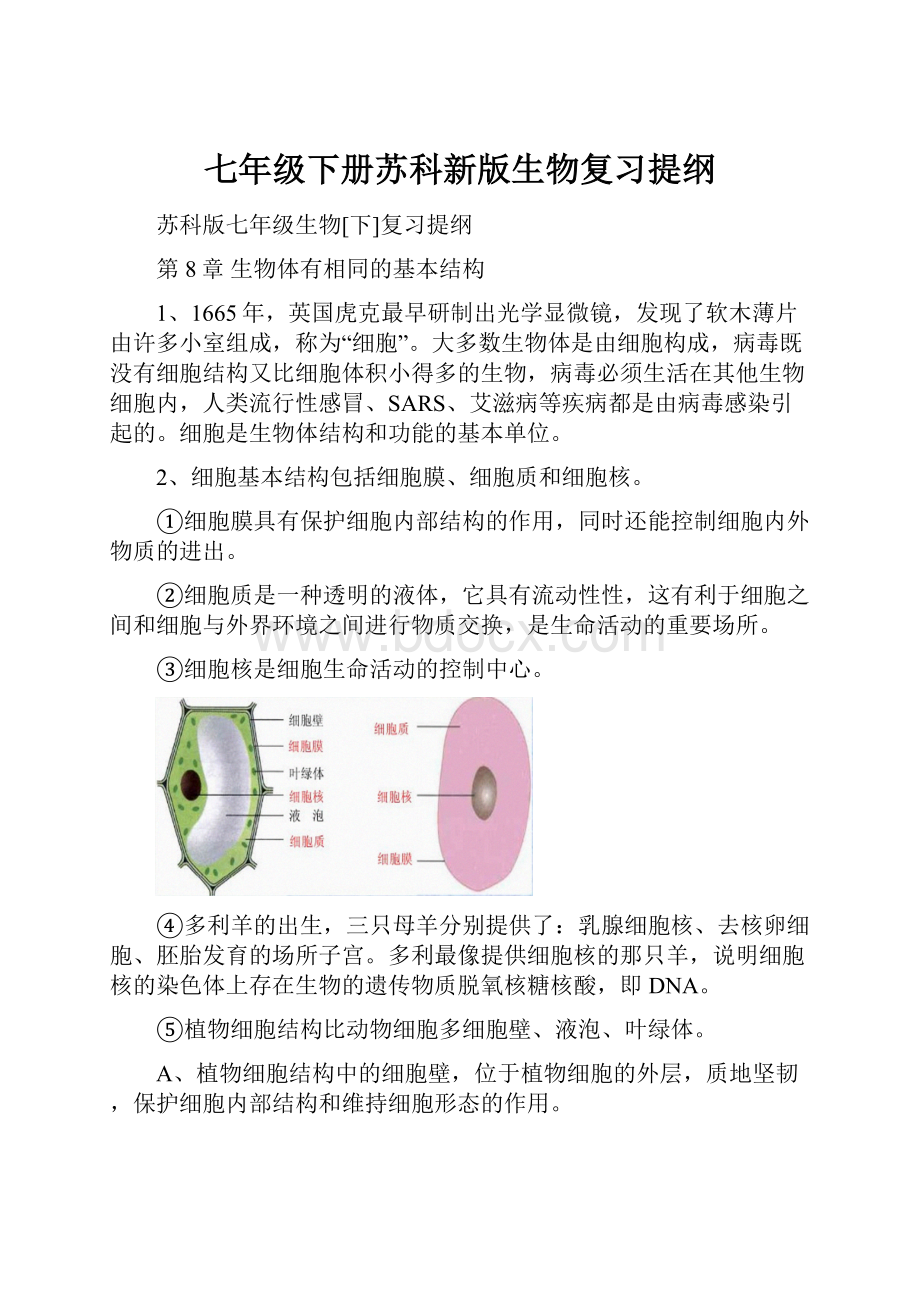 七年级下册苏科新版生物复习提纲.docx_第1页