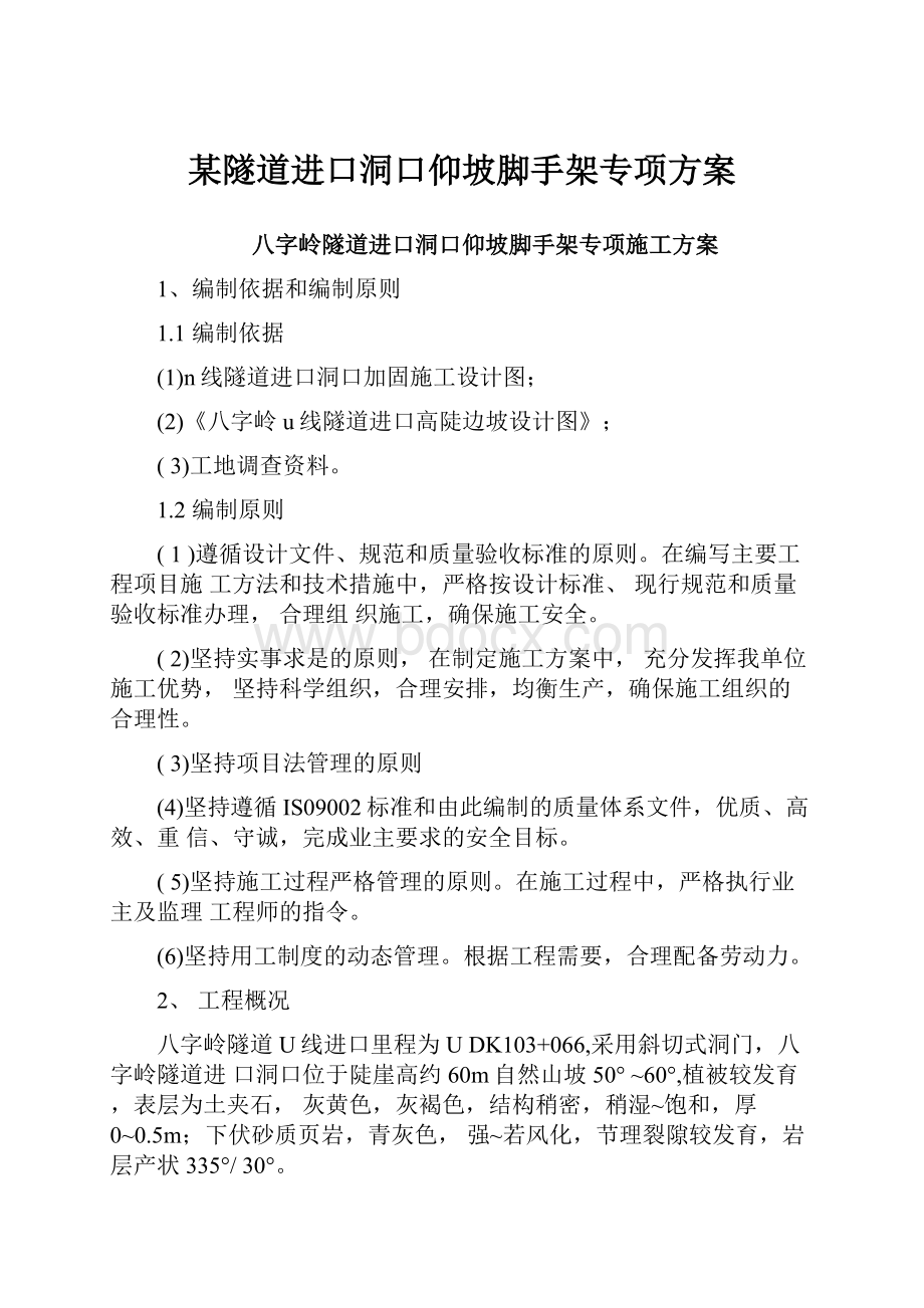 某隧道进口洞口仰坡脚手架专项方案.docx_第1页