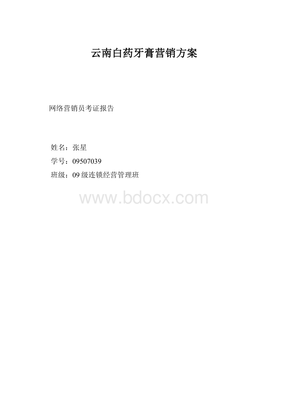 云南白药牙膏营销方案.docx_第1页