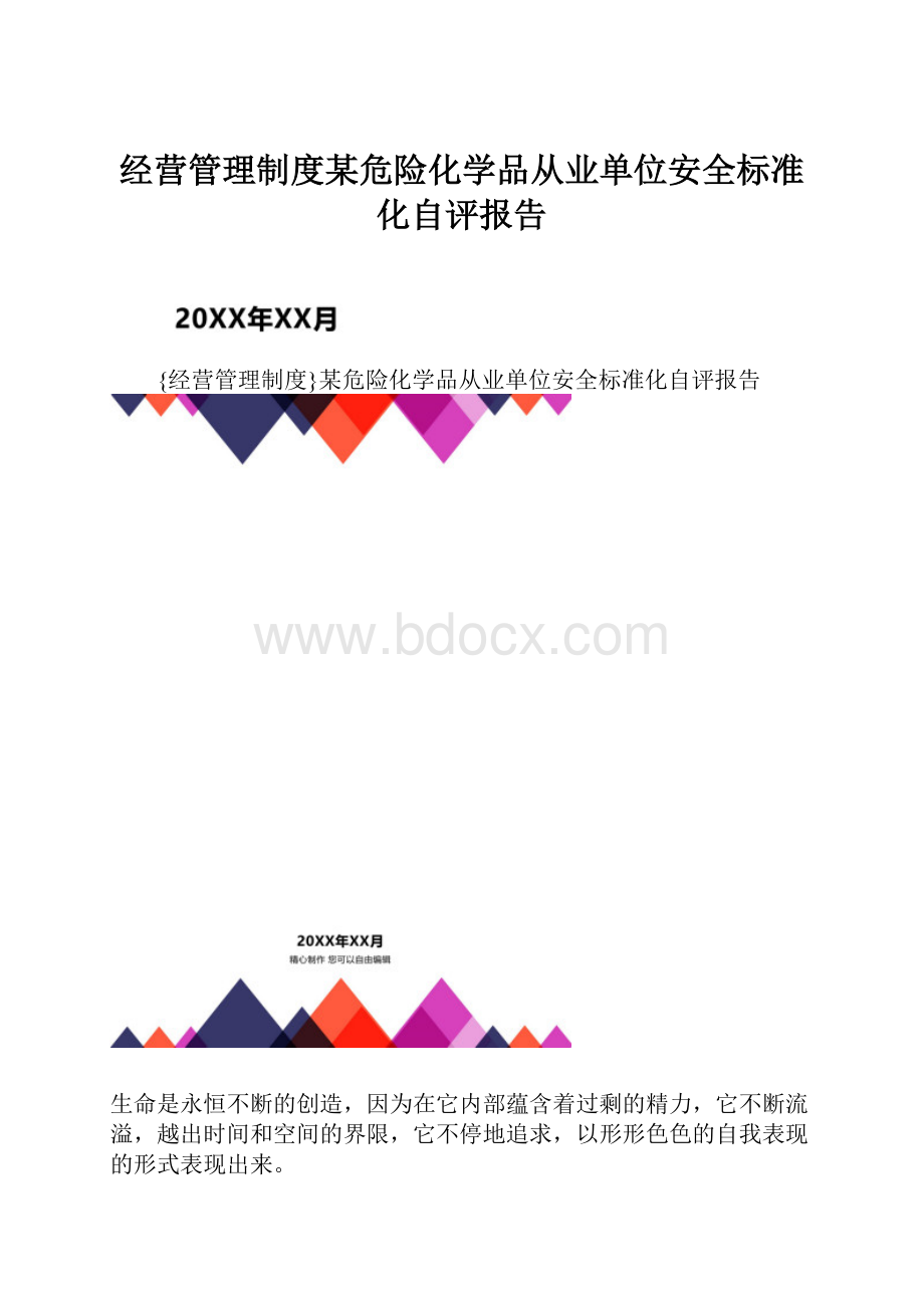 经营管理制度某危险化学品从业单位安全标准化自评报告.docx_第1页