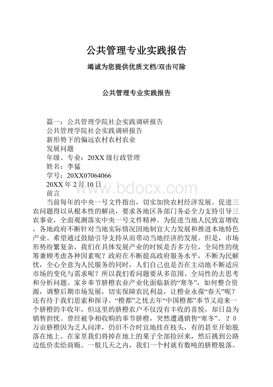 公共管理专业实践报告.docx