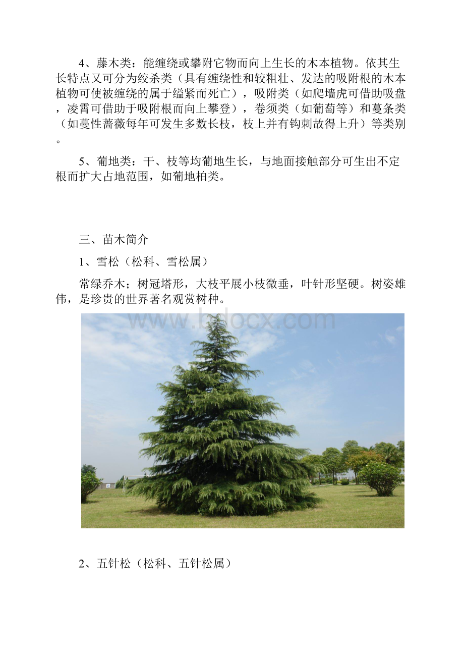 整理绿化种植常识11.docx_第2页