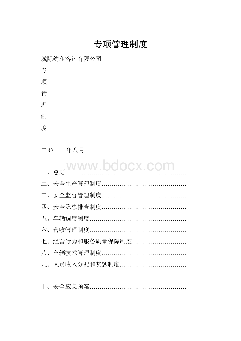 专项管理制度.docx