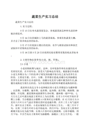 蔬菜生产实习总结.docx