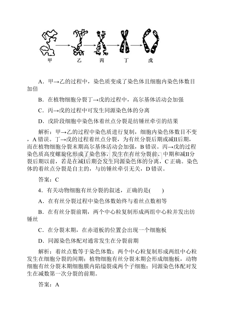 师说高考生物全程复习构想检测课时训练10细胞的增殖.docx_第3页