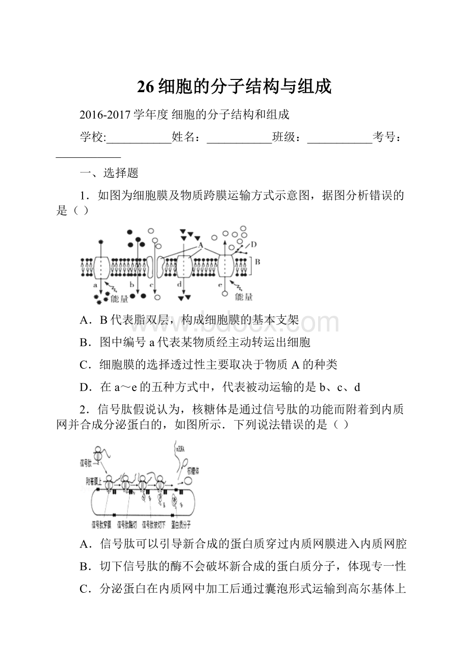 26细胞的分子结构与组成.docx