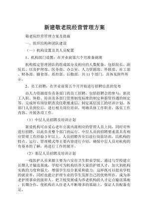 新建敬老院经营管理方案.docx