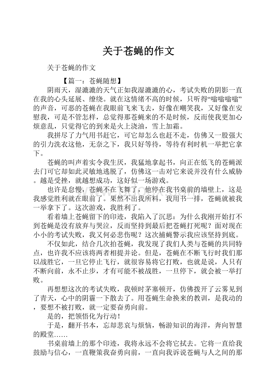 关于苍蝇的作文.docx