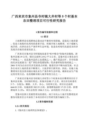 广西来宾市象州县寺村镇大井村等5个村基本农田整理项目可行性研究报告.docx