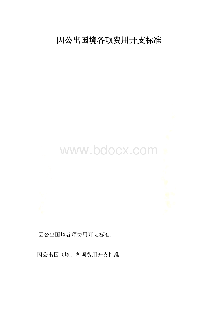 因公出国境各项费用开支标准.docx