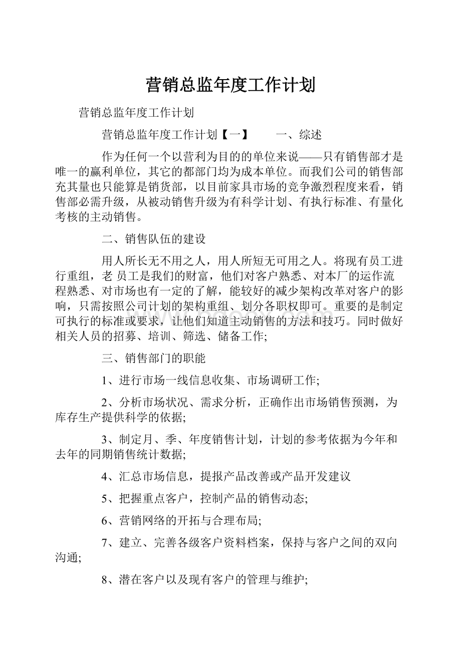 营销总监年度工作计划.docx