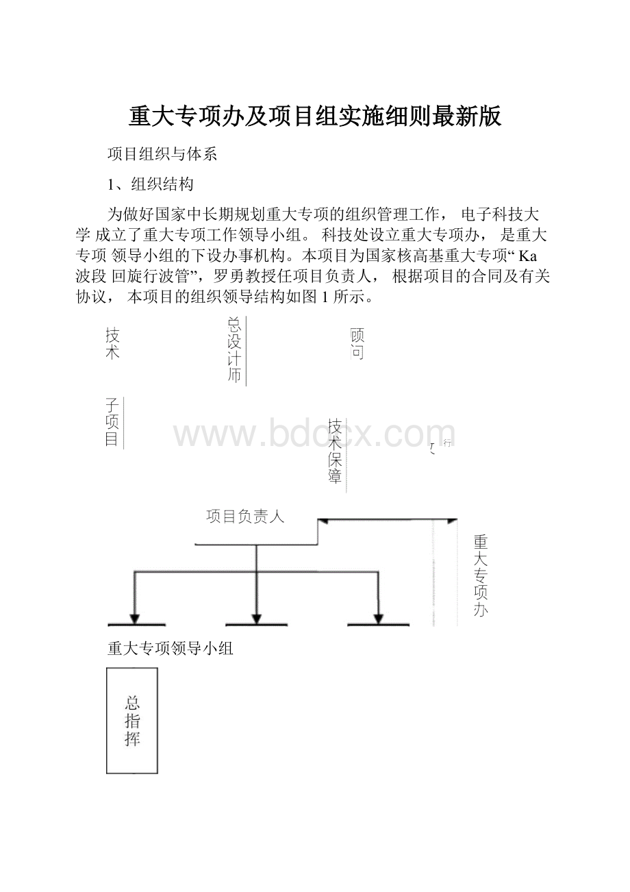 重大专项办及项目组实施细则最新版.docx