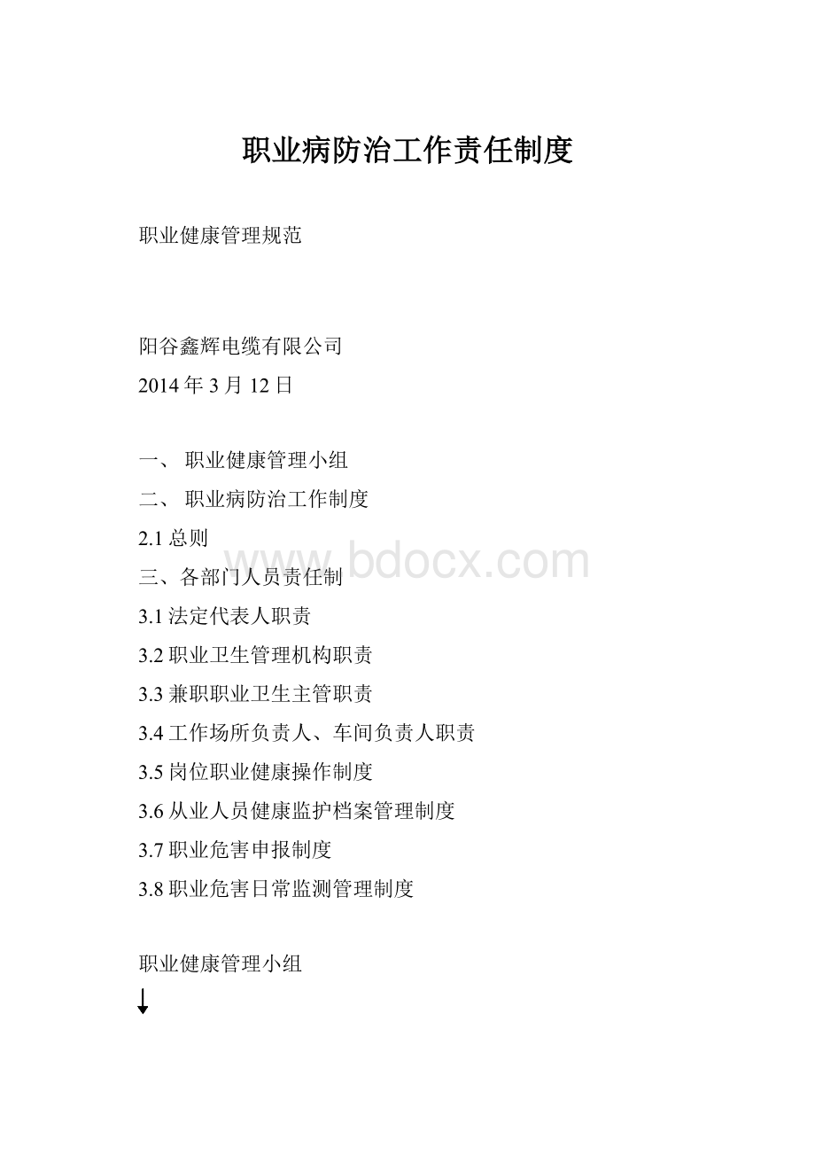 职业病防治工作责任制度.docx