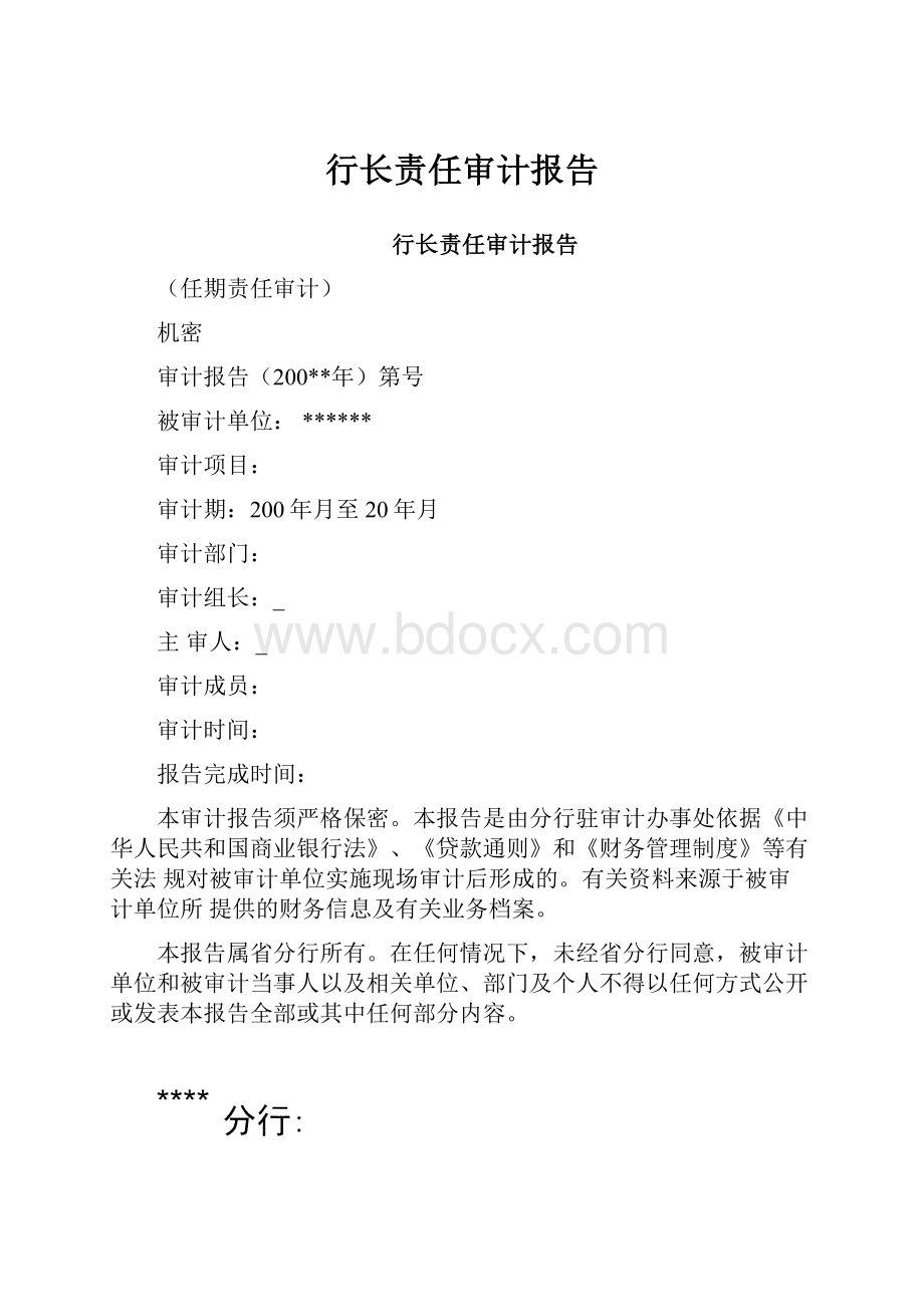 行长责任审计报告.docx