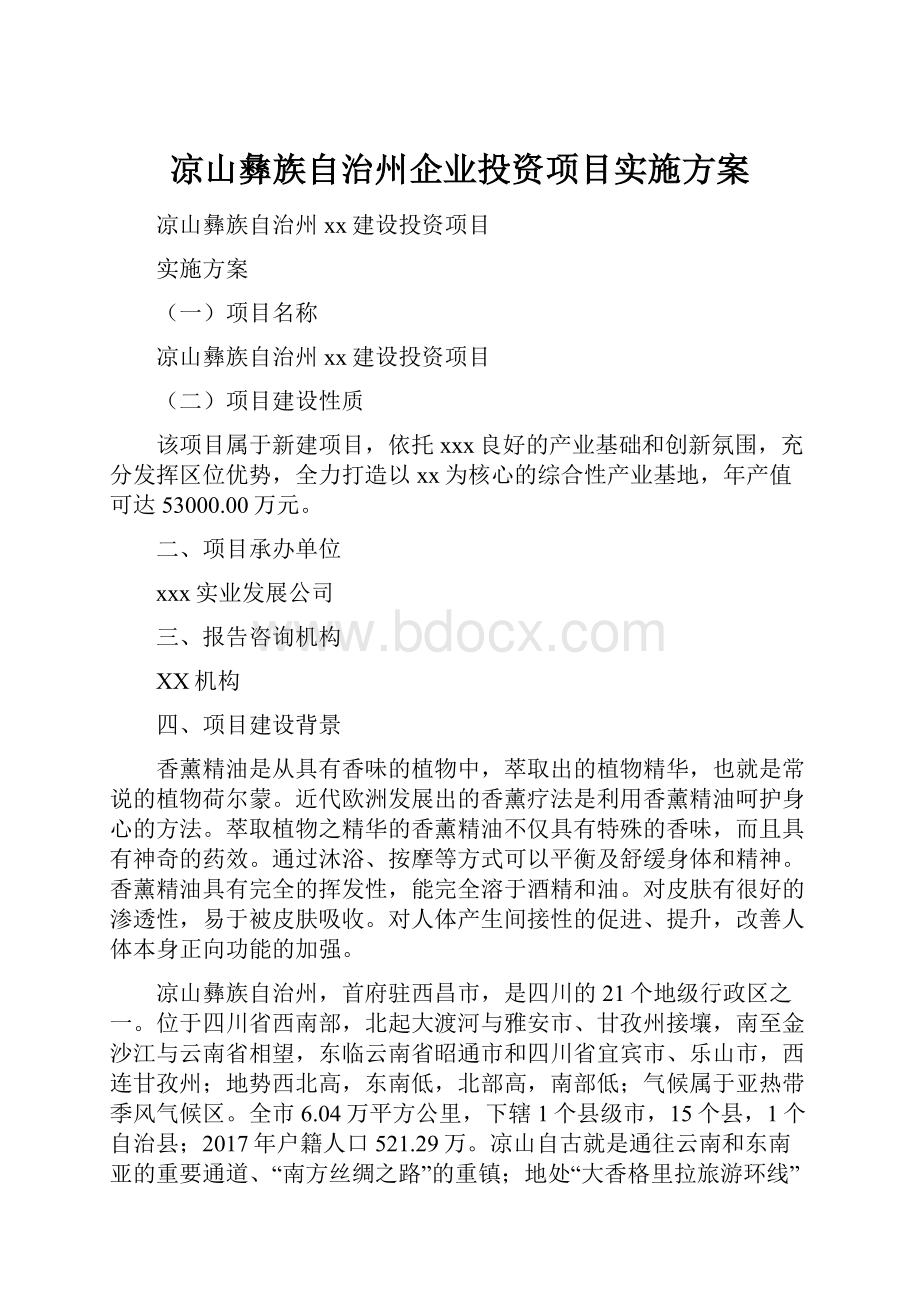 凉山彝族自治州企业投资项目实施方案.docx