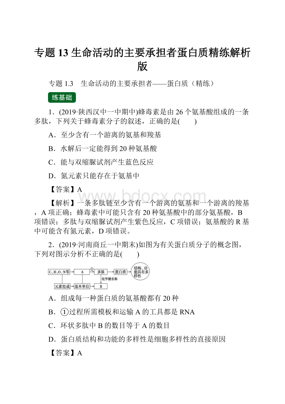 专题13 生命活动的主要承担者蛋白质精练解析版.docx