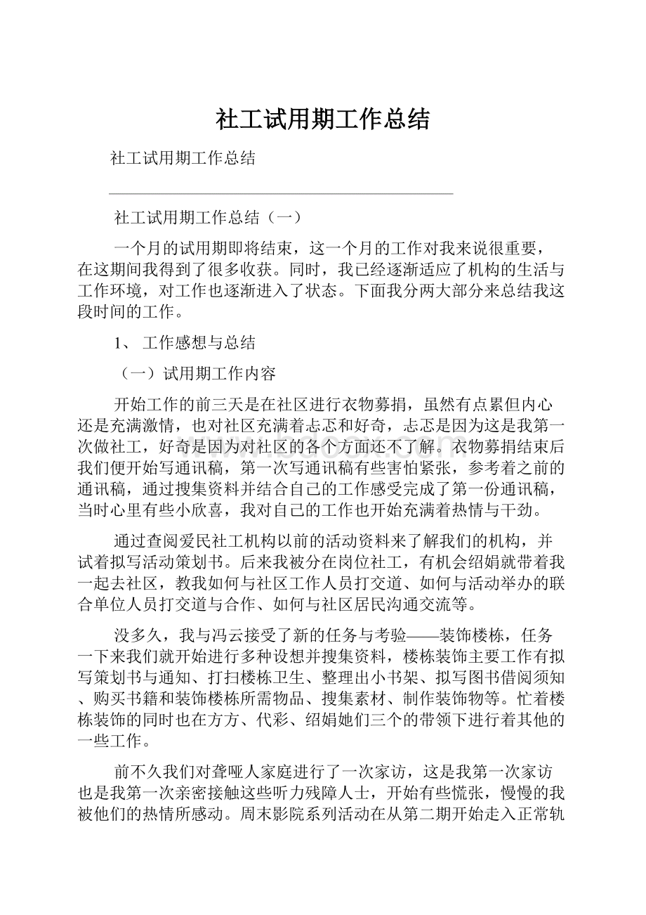 社工试用期工作总结.docx