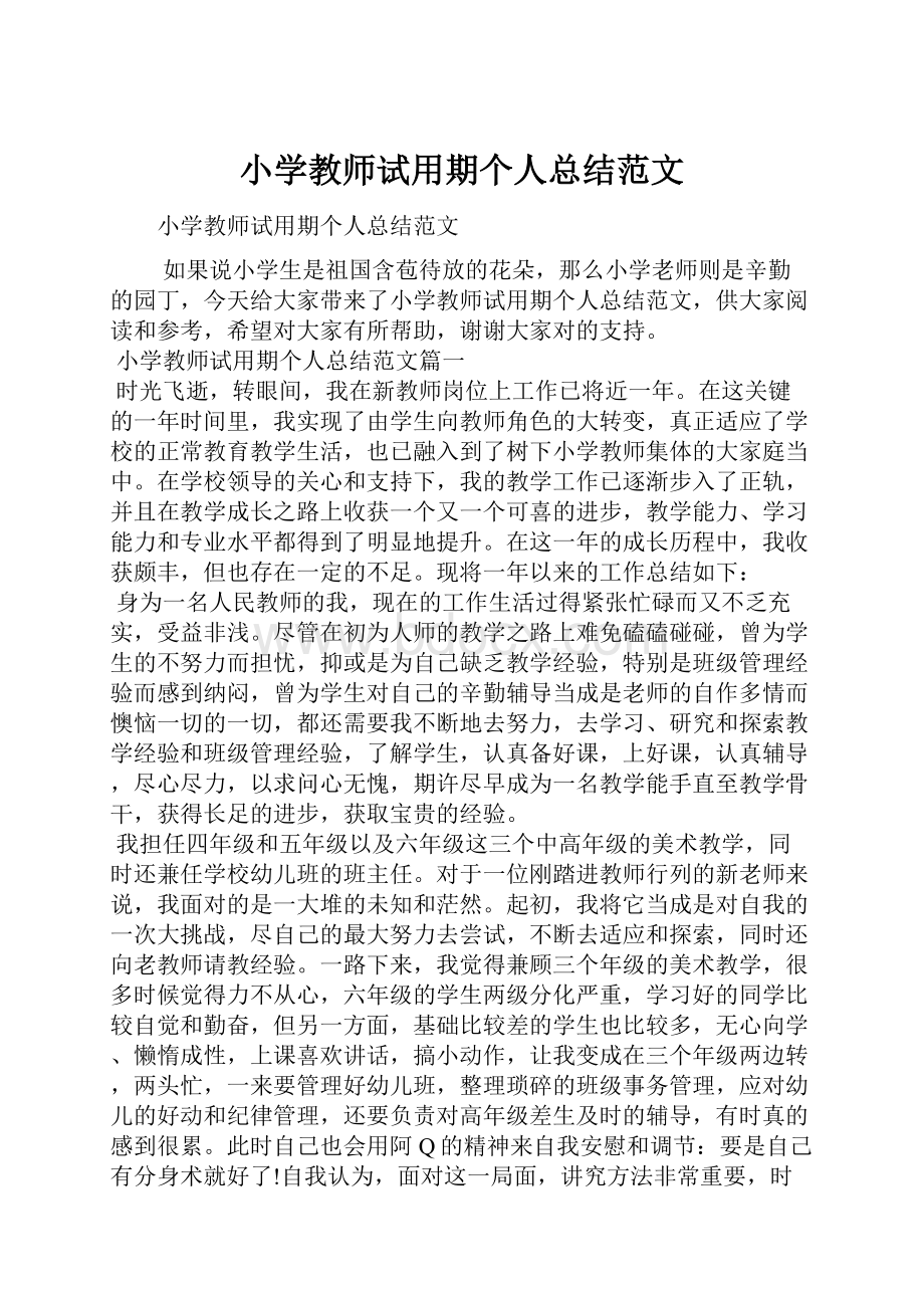 小学教师试用期个人总结范文.docx