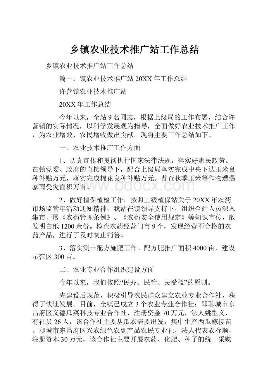 乡镇农业技术推广站工作总结.docx