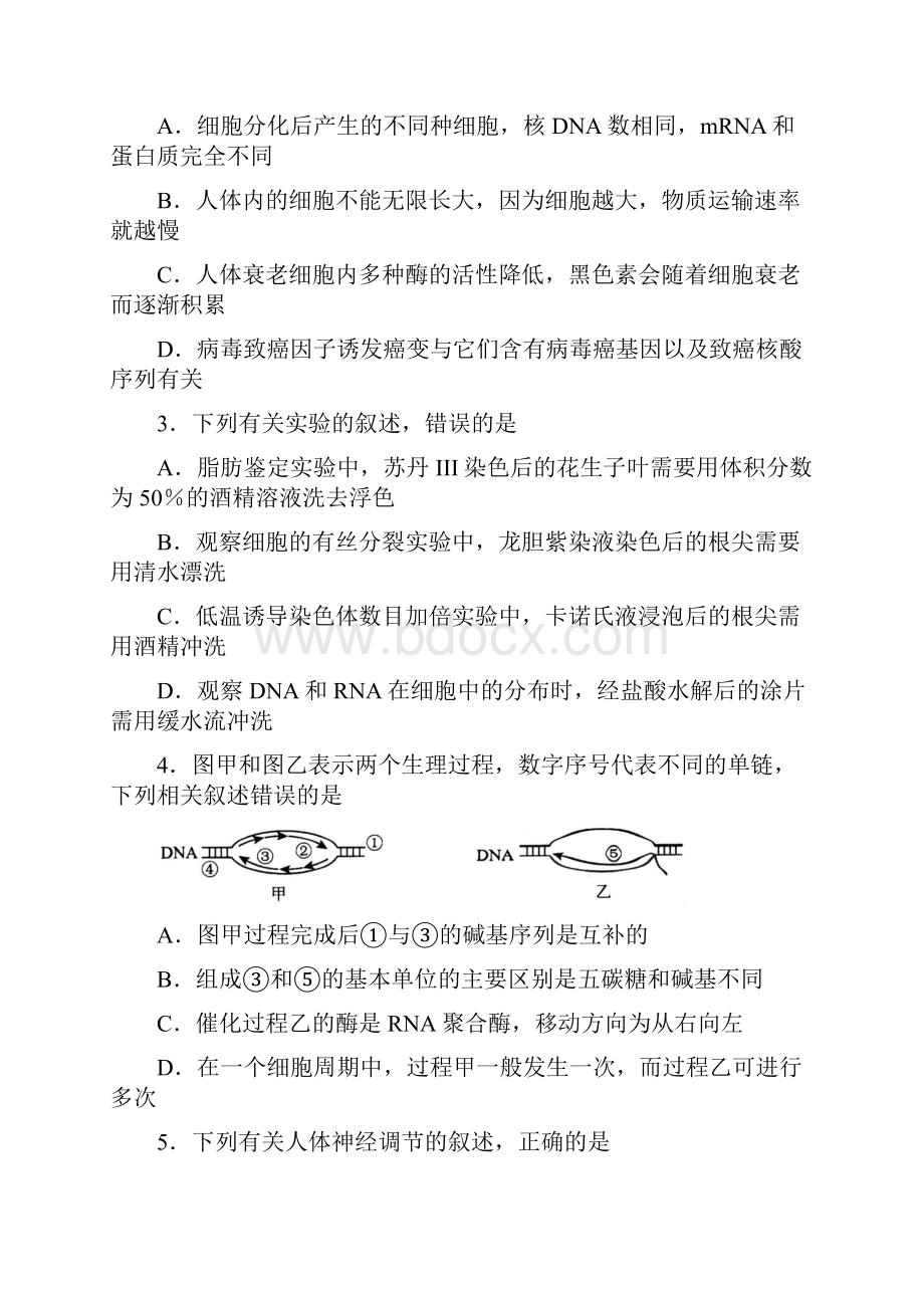 衡中同卷五理综试题.docx_第2页