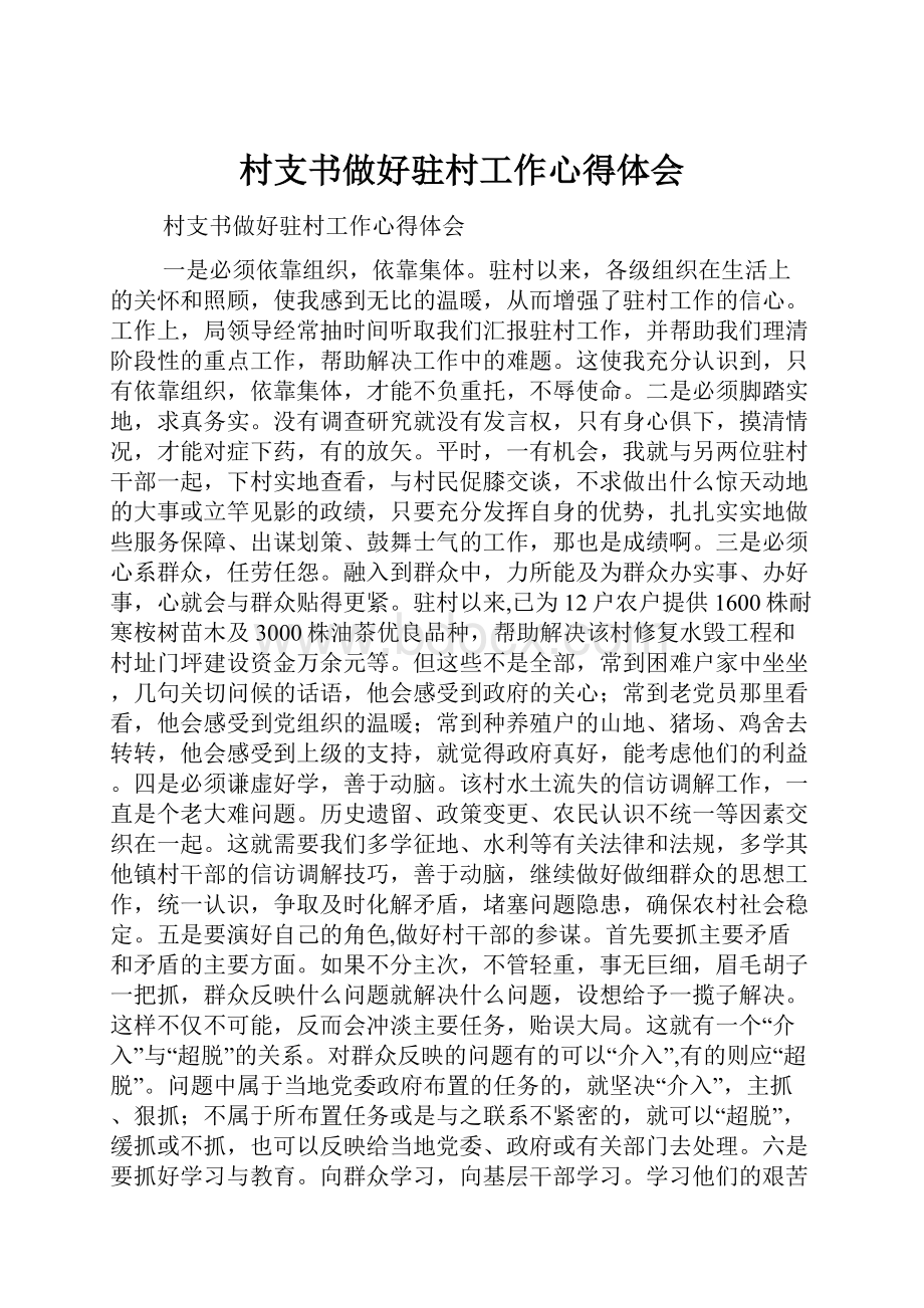 村支书做好驻村工作心得体会.docx_第1页