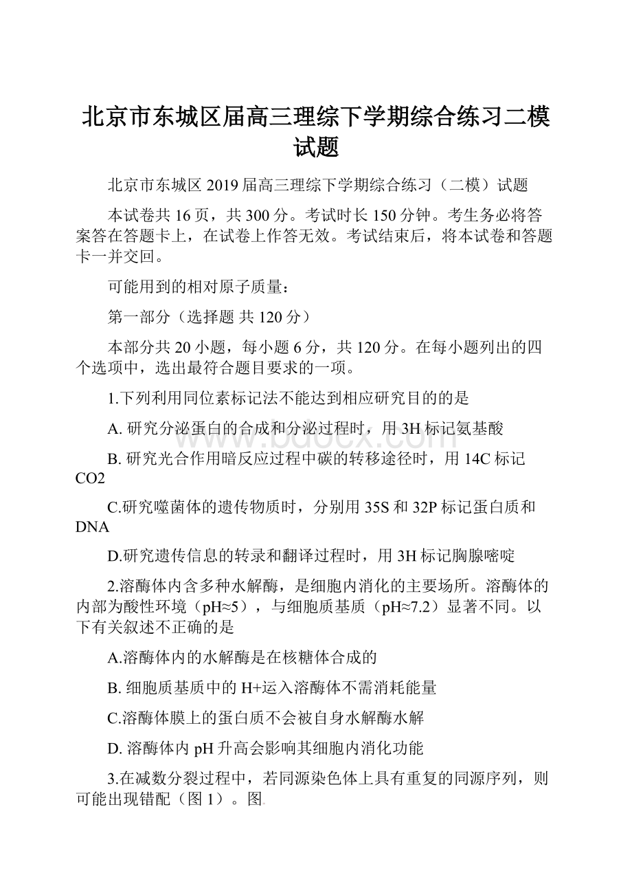 北京市东城区届高三理综下学期综合练习二模试题.docx_第1页