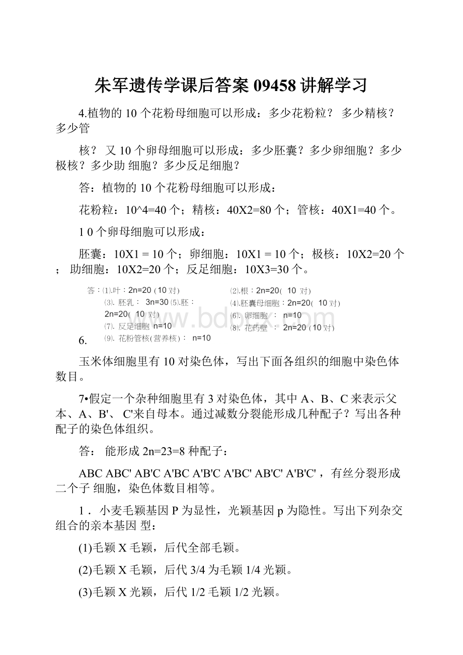 朱军遗传学课后答案09458讲解学习.docx_第1页