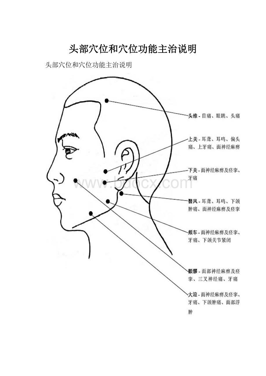 头部穴位和穴位功能主治说明.docx