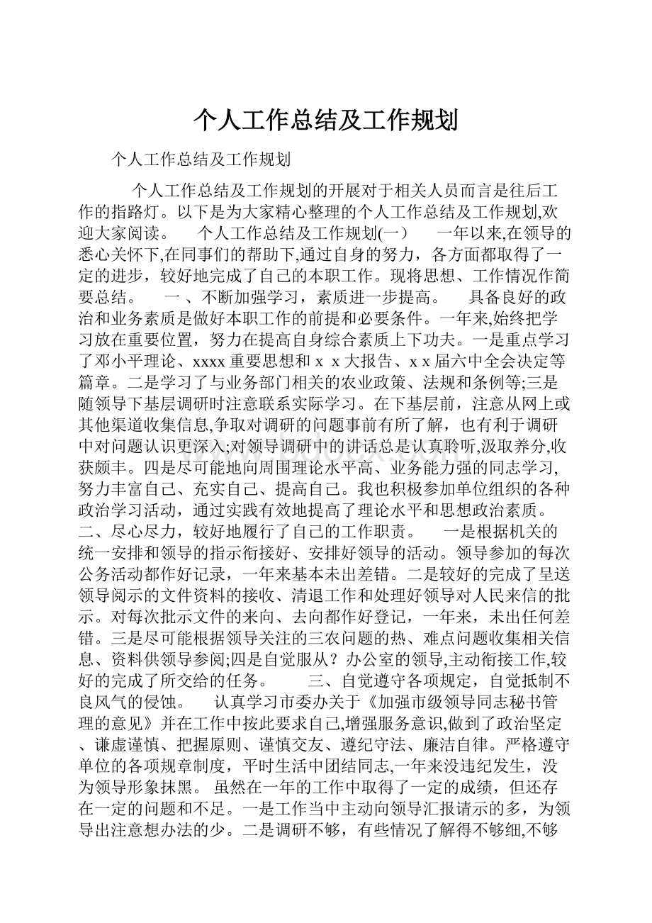 个人工作总结及工作规划.docx