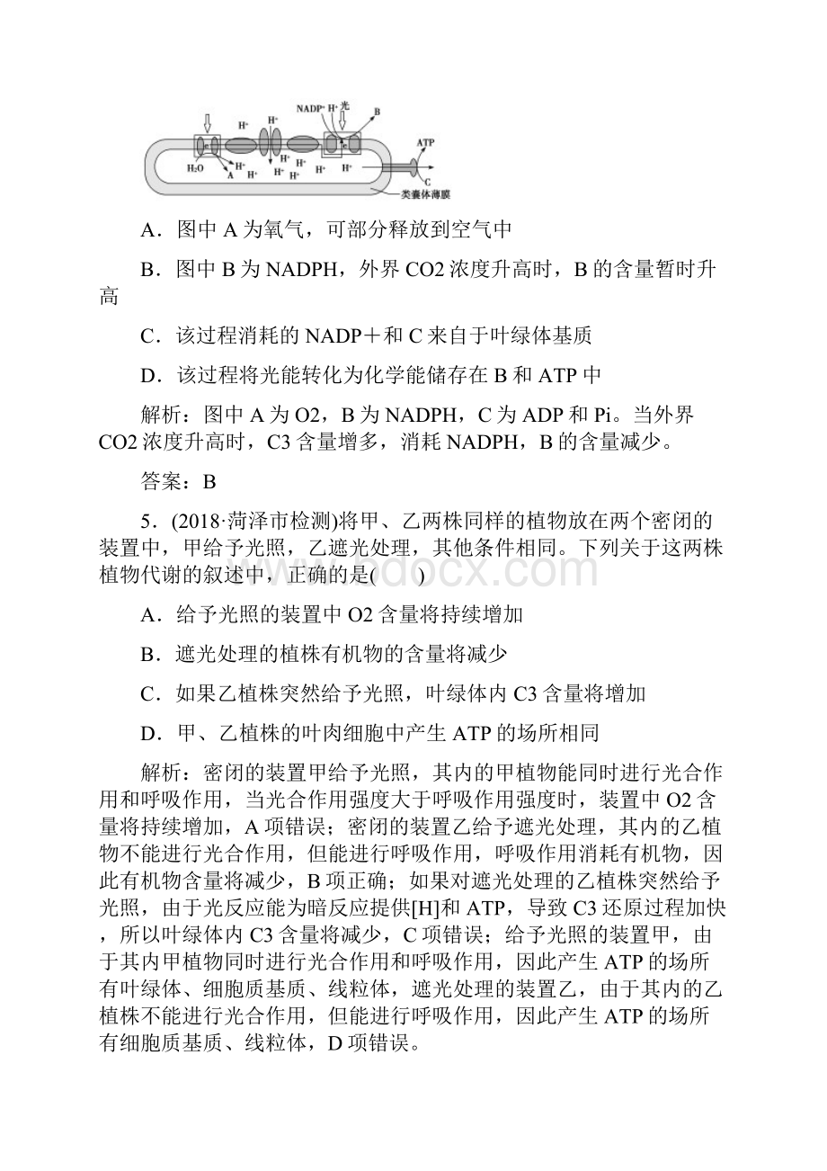 专题强化练五 高考生物二轮专题复习Word版含答案.docx_第3页