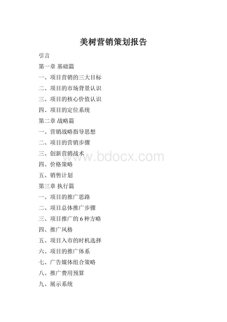 美树营销策划报告.docx