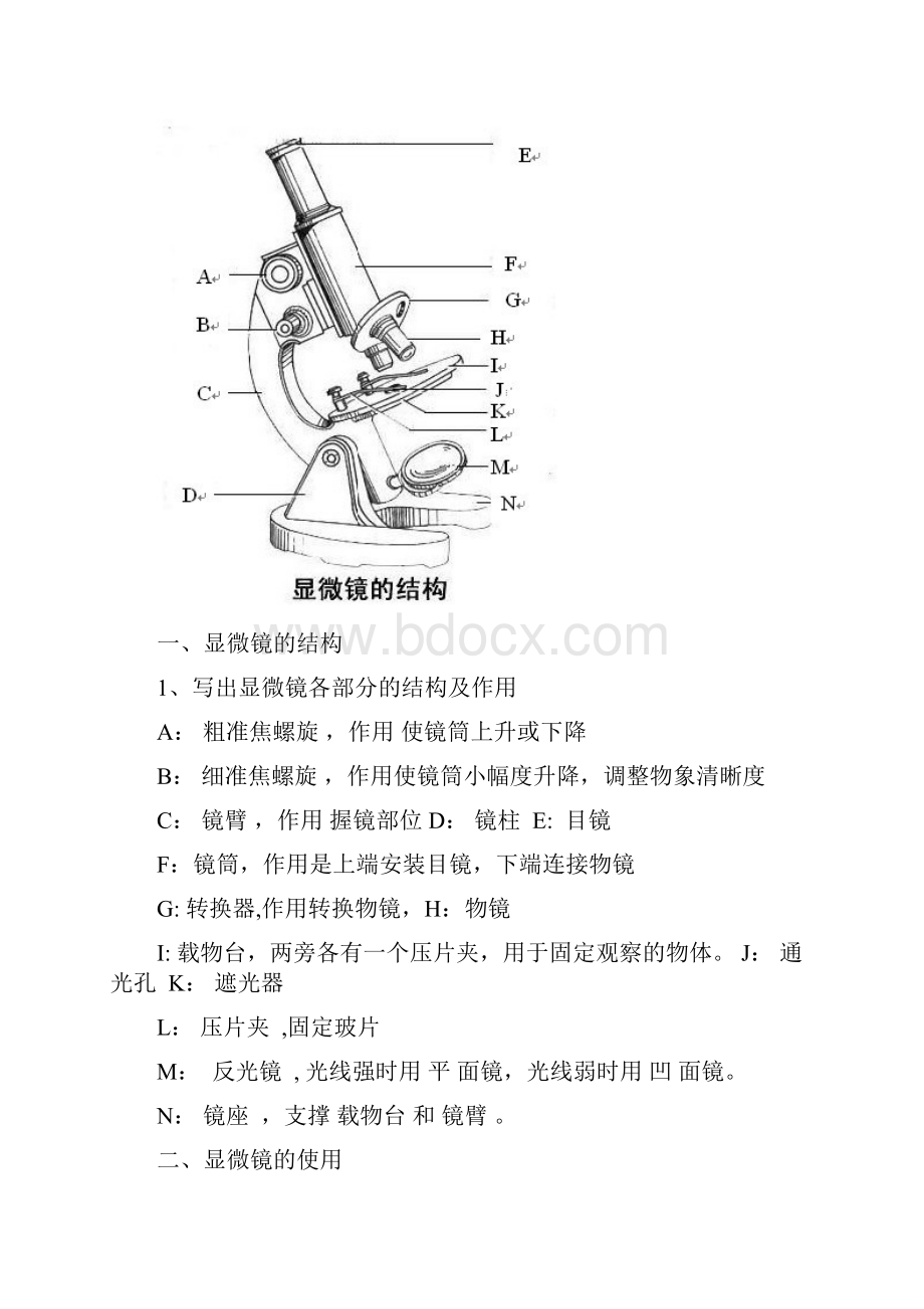 七年级上册生物复习提纲.docx_第3页