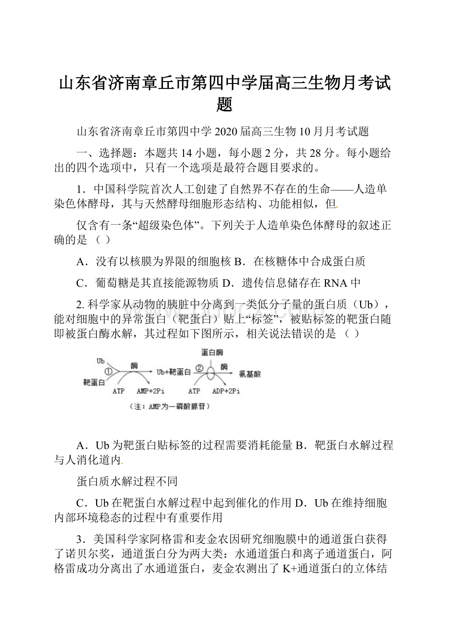 山东省济南章丘市第四中学届高三生物月考试题.docx