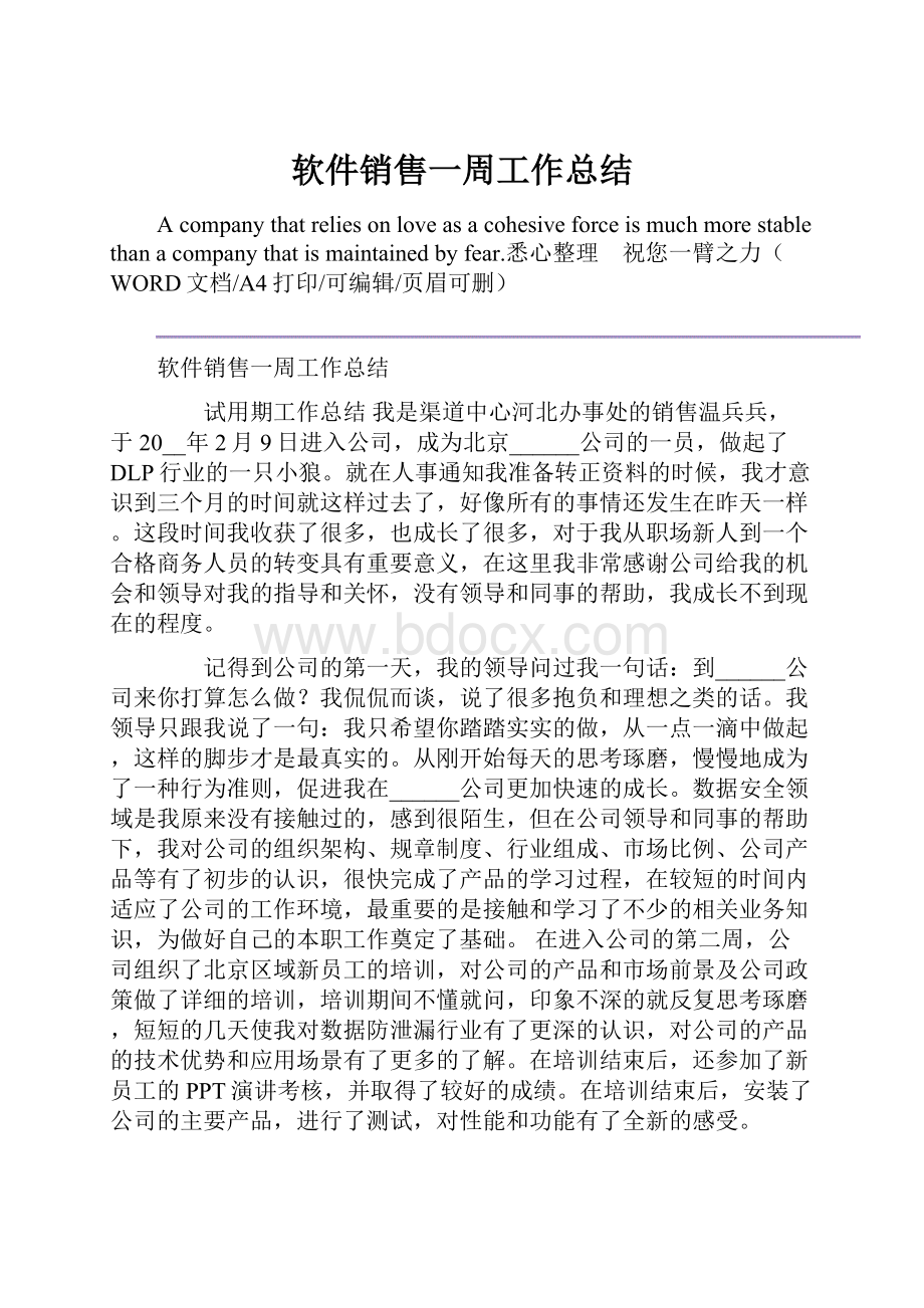 软件销售一周工作总结.docx