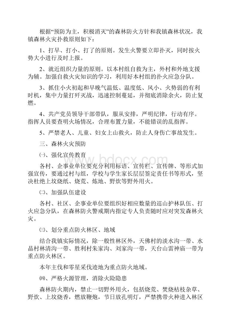 某森林火灾应急预案.docx_第2页