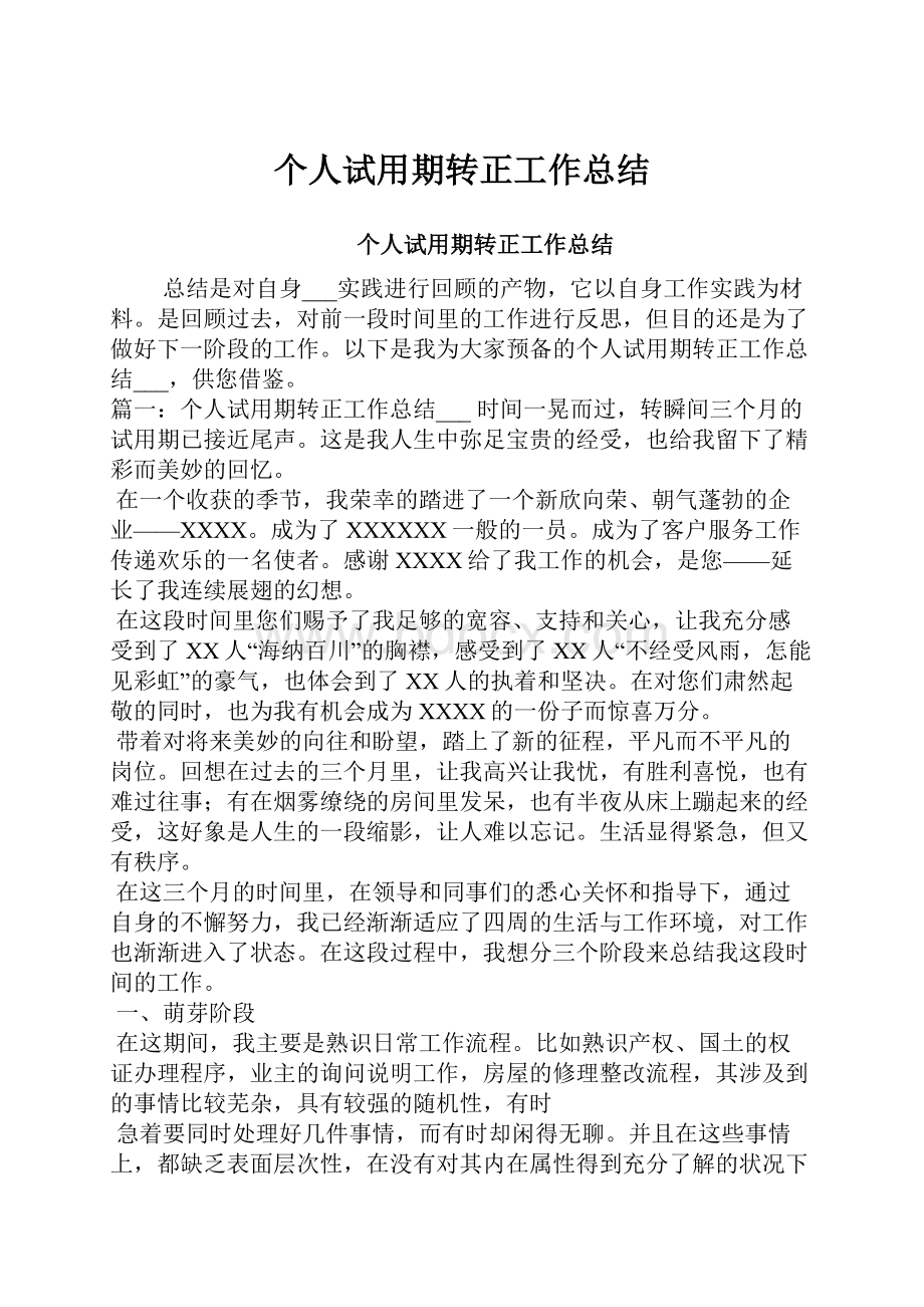 个人试用期转正工作总结.docx